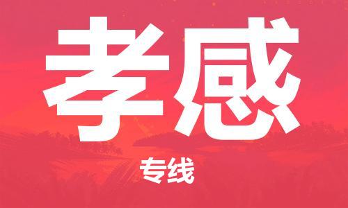 湛江到孝感航空货运-湛江至孝感航空快递-机场空运当日达