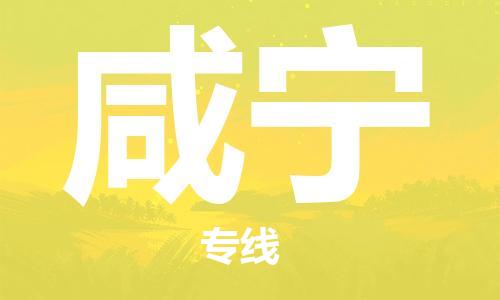 湛江到咸宁航空货运-湛江至咸宁航空快递-机场空运当日达