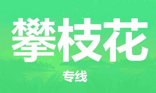 湛江到攀枝花航空货运-湛江至攀枝花航空快递-机场空运当日达
