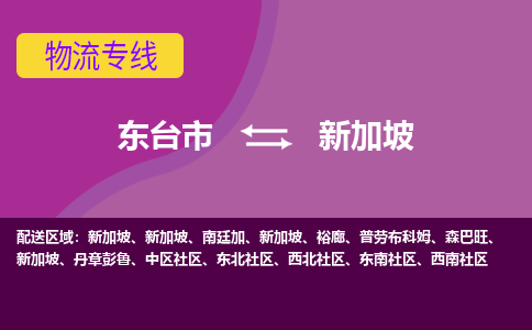 东台市到新加坡海运物流公司，东台市到新加坡空运CTF专线，双清DDU到门